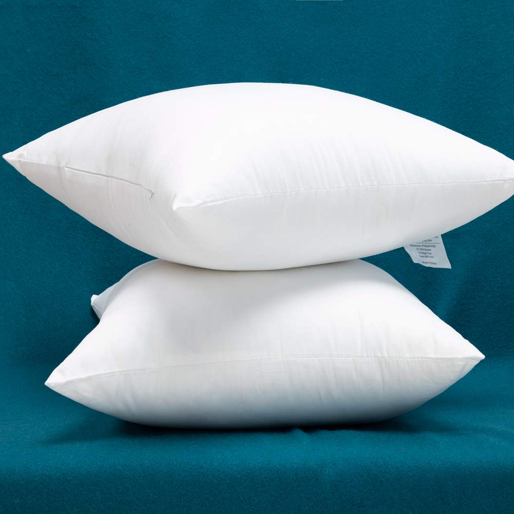 Warmwithann Cotton Fabric Plump Throw Pillow Inserts, Set Of 2 Down Alternative Decorative Pillow Inserts, 22 X 22 Inches