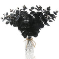 Hananona 6 Pcs Artificial Black Eucalyptus Stems, 14 Eucalyptus Leaves Branches Bouquet for Flower Arrangement DIY, Black Silk F