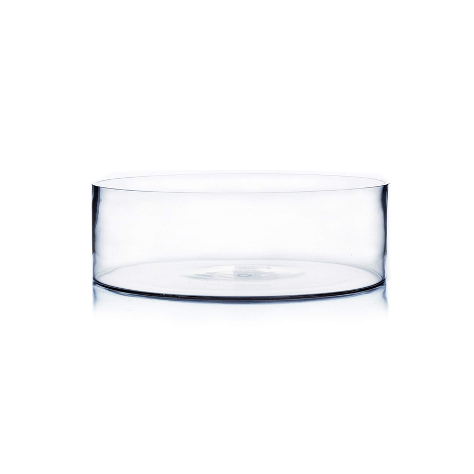 WGV Cylinder Vase, Open Width 12, Height 4, Clear Flat Pan Style Container, Planter Terrarium, Floral Centerpiece for Wedding Pa
