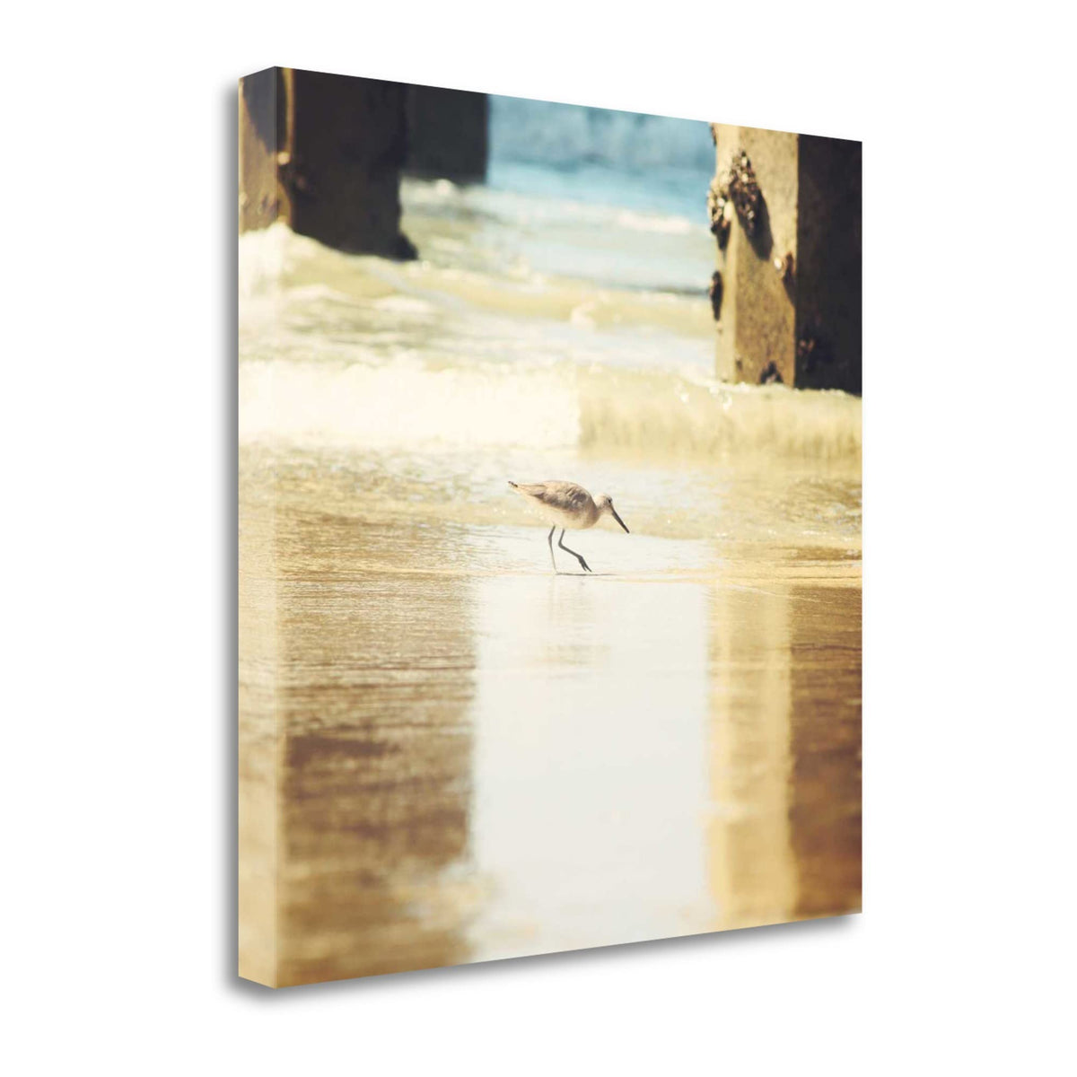 25' Willet Walking Towards the Beach Giclee Wrap Canvas Wall Art