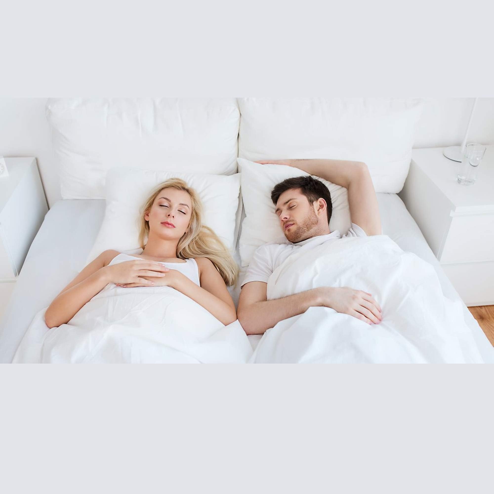 Hometex Canada Pillow Insert 12'' X 18'' Polyester Filled Standard Cover (2 Pack)