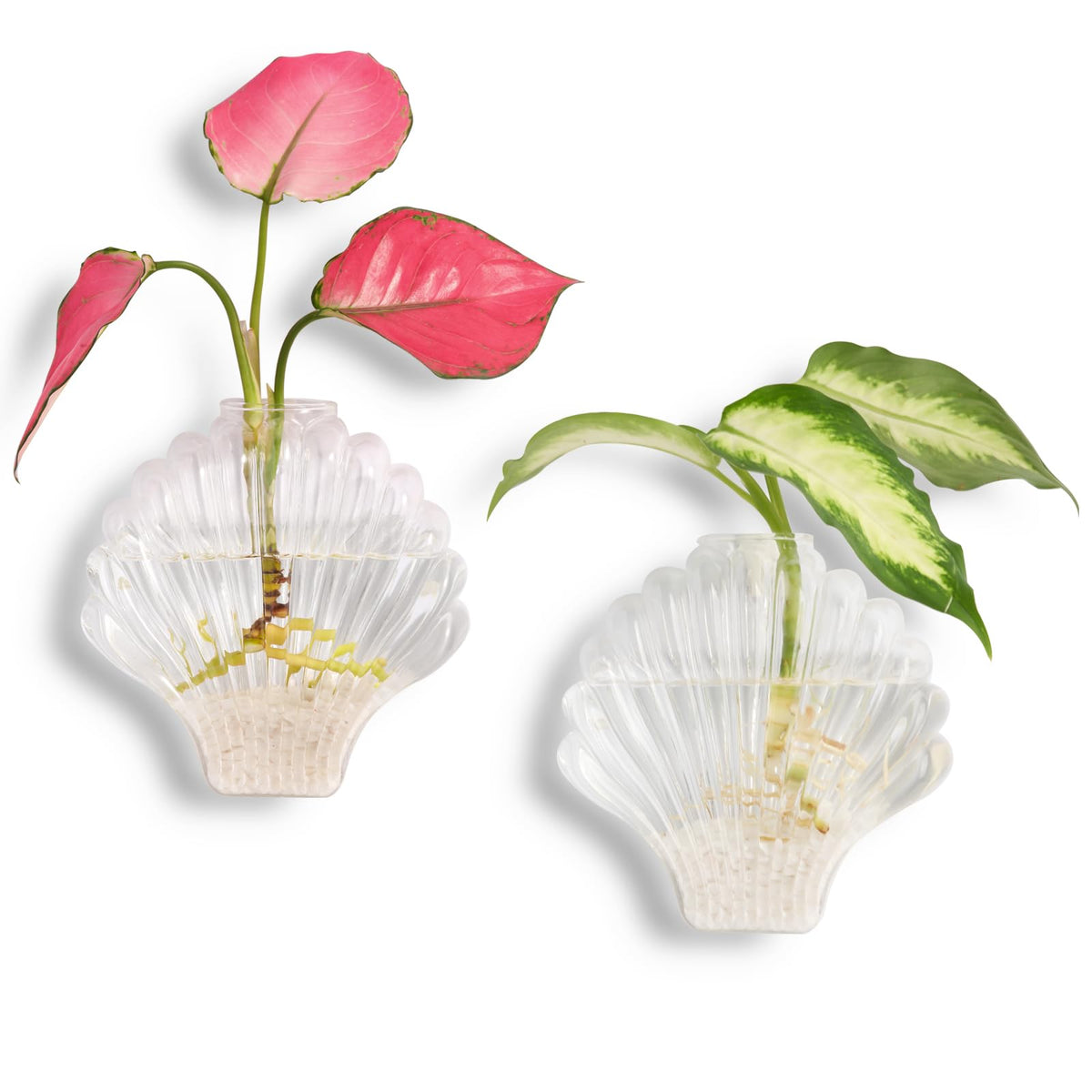 Kingbuy Plant Propagation Wall Planter Sector Shape Wall Plant Holder For Hydroponics Home Office Living Room Decor, 2 Pack