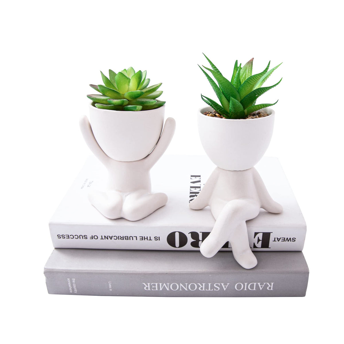 VENY TAYA 2 PCS Unique Artificial Plants Succulents Office Decor for Women and Men, Small Fake Plants with Human-Shaped Pots, Cu