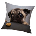 Zoomella Animal Pattern Pillowcase Cushion Cover For Sofa Car Dog 45X45Cm|Sheets & Pillowcases|Home & Garden