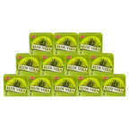 Aloe Vera Incense Cones And Cone Incense Burner Bundle Insence Insense Hem Incense