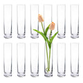 Glass Cylinder Bud Vases for Centerpieces, Set of 12 Clear Small vases,Handmade Slim Flower Vases Wedding Table Decor for Single