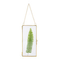 NCYP Small 4.1 x 9 Clear Glass Display Frame for Picture, Certificate, Photo, Card, Pressed Dried Flower - Wall Hanging Plant Sp