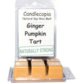 Candlecopia Ginger Pumpkin Strongly Scented Hand Poured Vegan Wax Melts, 12 Scented Wax Cubes, 6.4 Ounces in 2 x 6-Packs