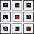 HEART ART 10x10 Gold Picture Frame Set of 9, Display Pictures 6x6 with Mat or 10 x 10 without Mat, Multi Collage Gallery Square 