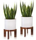 Gendral Forwepup 2 Pack Wood Plant Stand, Mid Century Modern Planter Stand Rattan Flower Pot Stand, Low Short Plant Stands Indoo