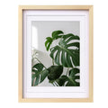 Egofine 12x16 Picture Frame Natural Wood with Plexiglass Made of Solid, Display Pictures 9x12/11x14 with Mat or 12x16 Without Ma
