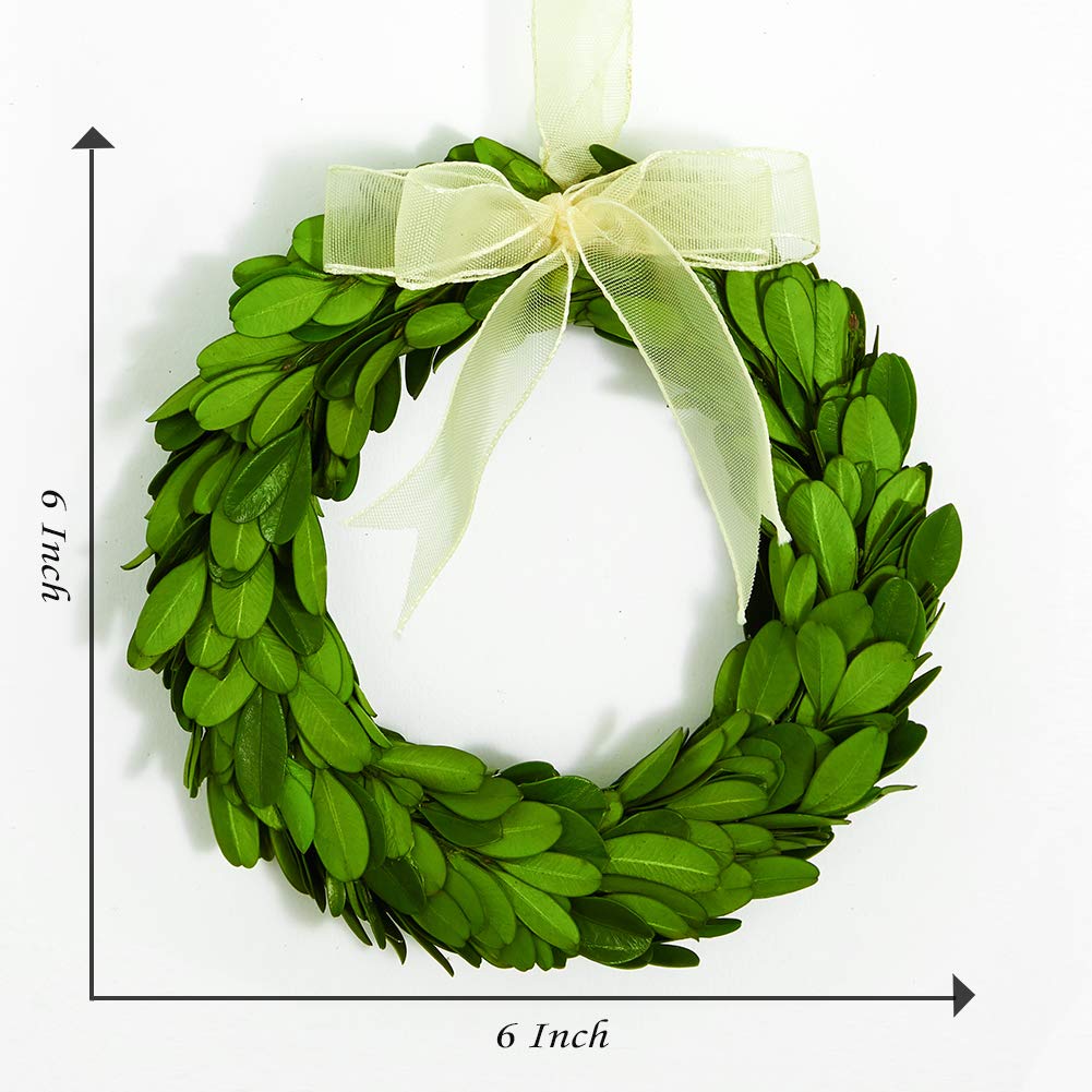 Boxwood Valley Boxwood Wreath Mini 6 Inch Preserved Round Boxwood Wreath, Door Wall Hanging Window Wedding Party Decoration Farm