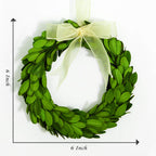 Boxwood Valley Boxwood Wreath Mini 6 Inch Preserved Round Boxwood Wreath, Door Wall Hanging Window Wedding Party Decoration Farm