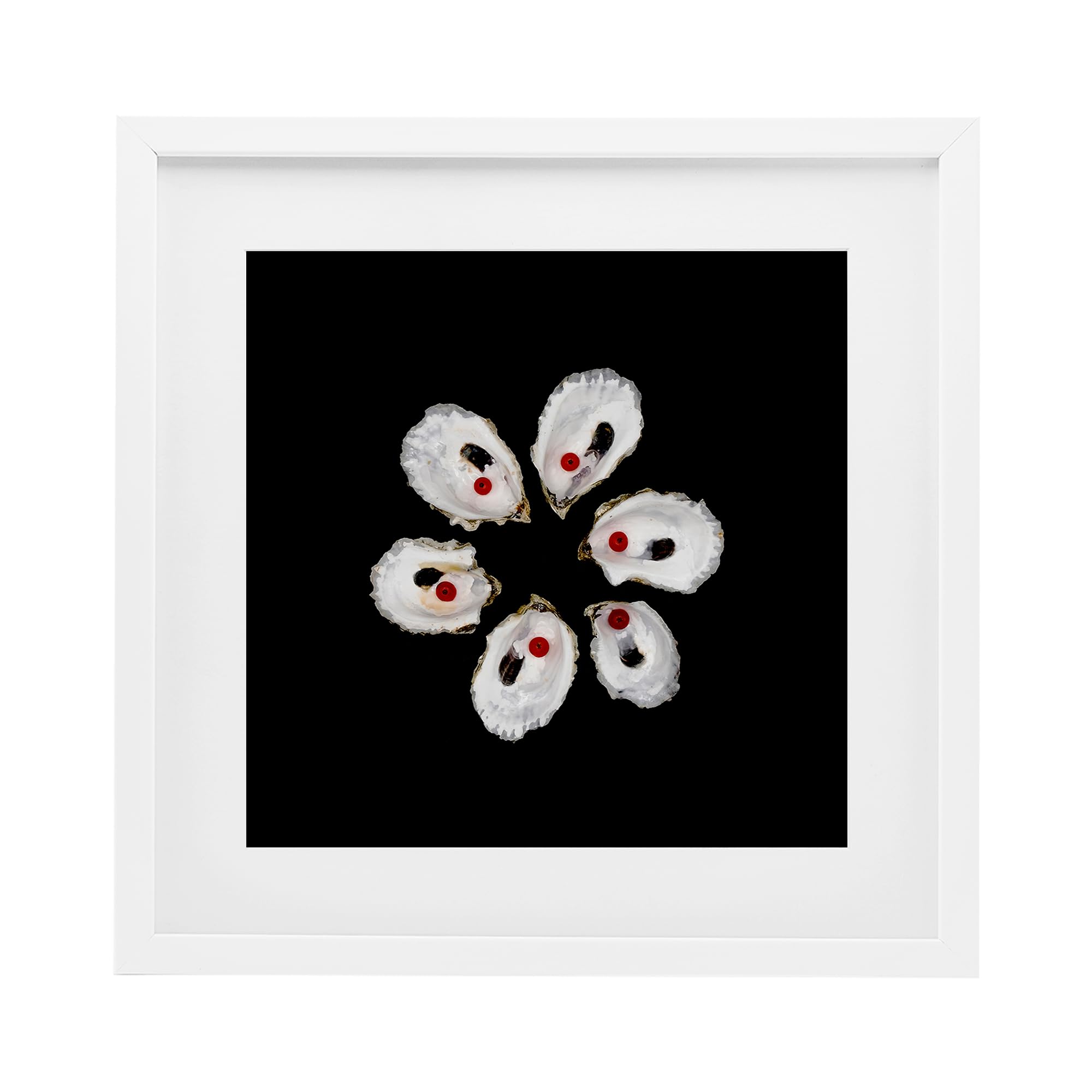 Stupell Industries Oyster Shells Symmetry, Framed Print Under Glass, White, 16 x 16 Inches, Easy to Hang and Sturdy, Made in U