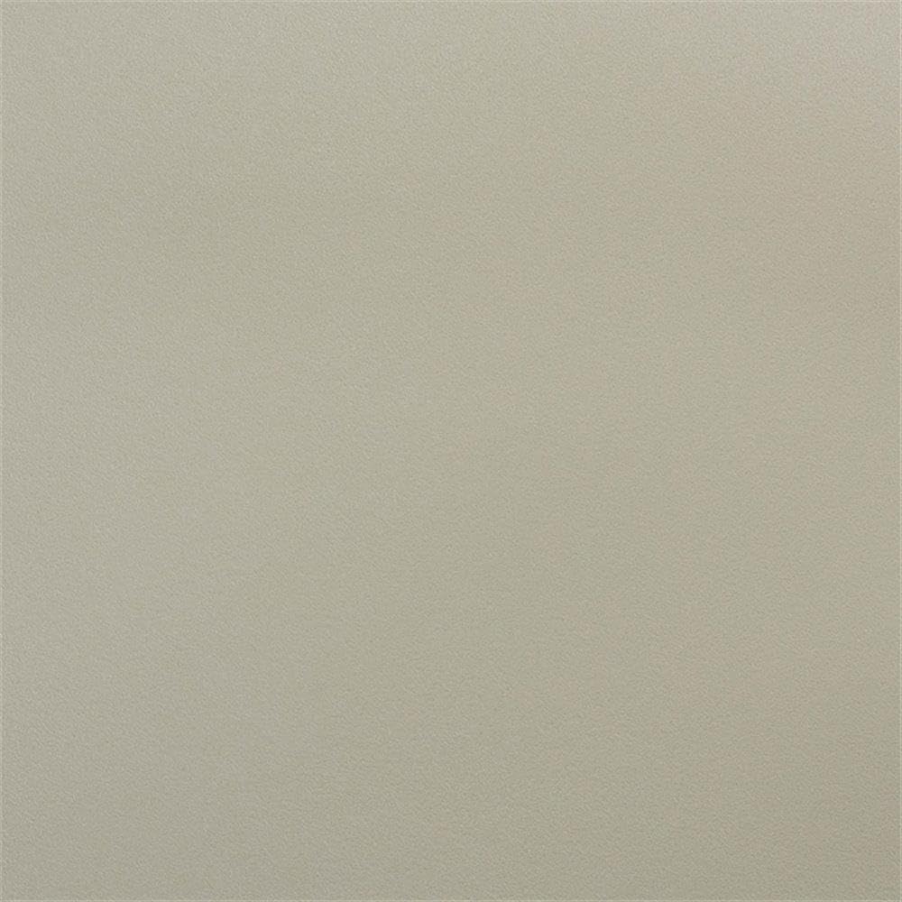 Baxton Studio Rae Modern and Contemporary Beige Finished Polypropylene Plastic 4-Piece Stackable Dining Chair Set