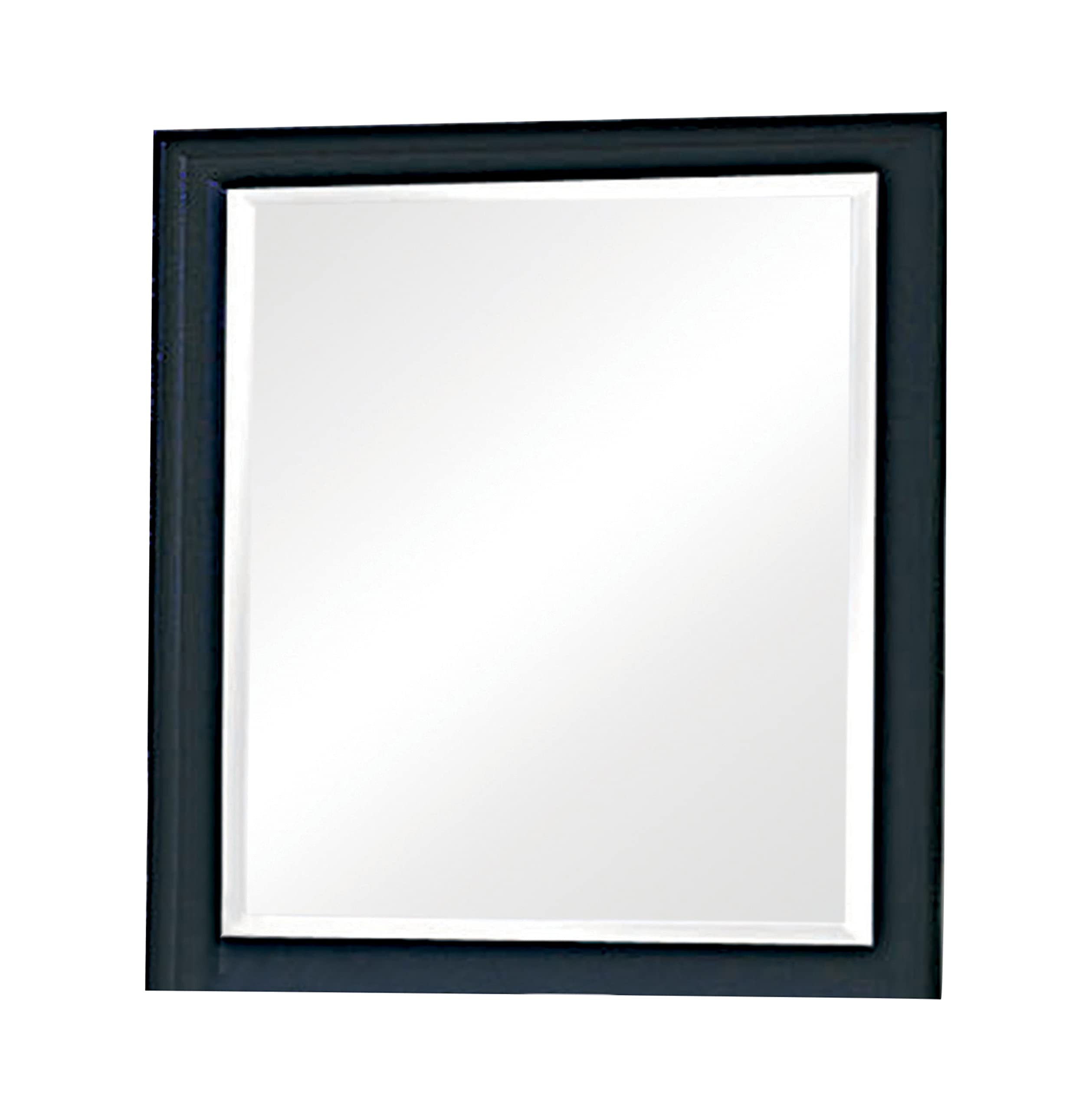 Coaster Home Furnishings Sandy Beach Vertical Black Dresser Mirror, 1.5" D X 36.25" W X 40" H (201324)