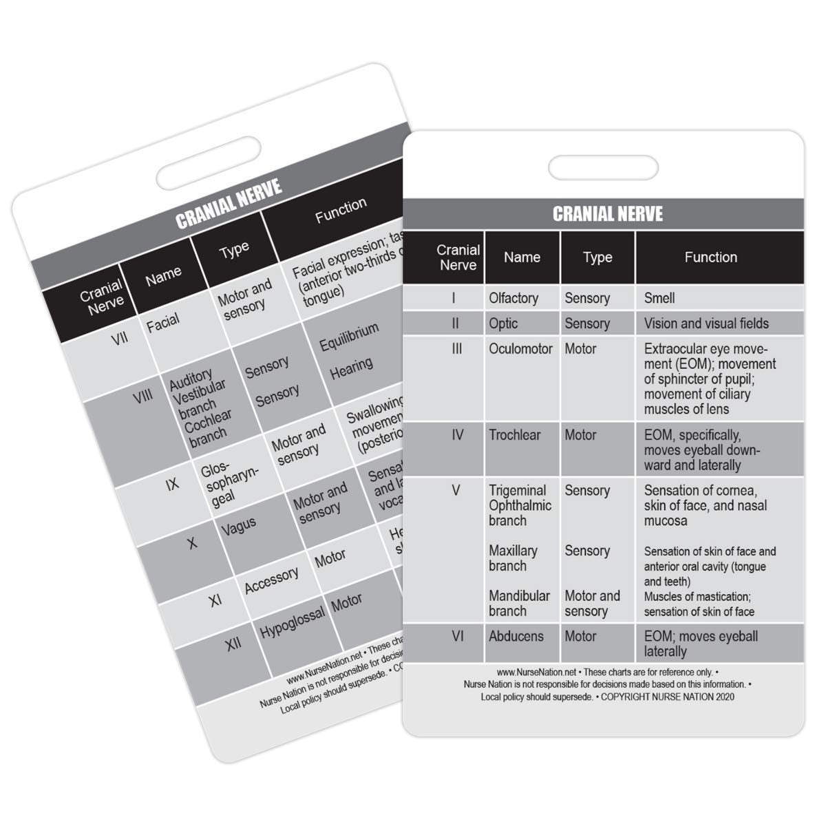 Cranial Nerve Chart Reference Vertical Badge Card - Excellent Resource For Nurses, Nursing Clinicals, And Rn Students - Great Nu