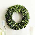 Boxwood World Boxwood Wreath 12 Inch Preserved Nature Boxwood Home Decor Stay Fresh For Years Spring Summer Fresh Green Wreath F