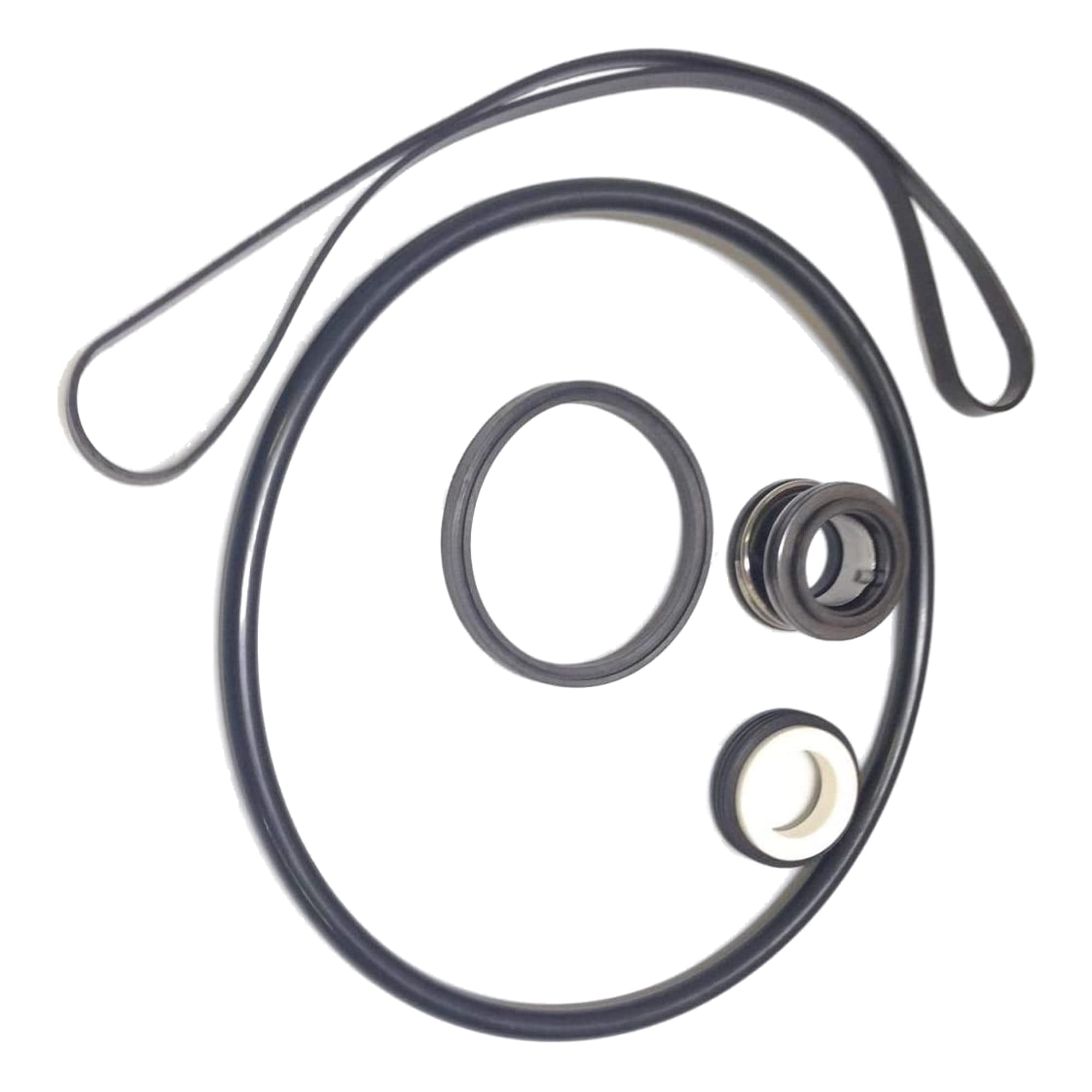 Liberty Pool Products 65002 Hayward Super Ii - Pump Repair Kit