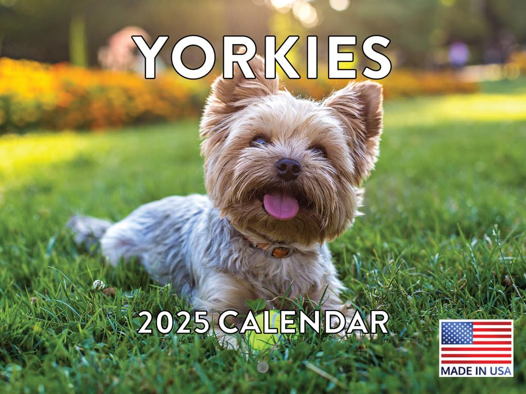 Yorkie Calendar 2025 Yorkshire Terrier Monthly Wall Calender 12 Month | American Made In The Usa