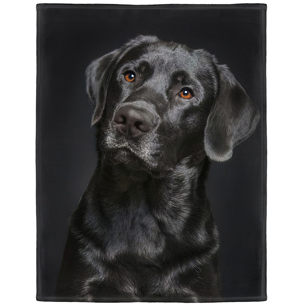 Hommomh Black Lab Blanket, Gorgeous Labrador Dog Print, Soft Fluffy Fleece Throw 40'X50'