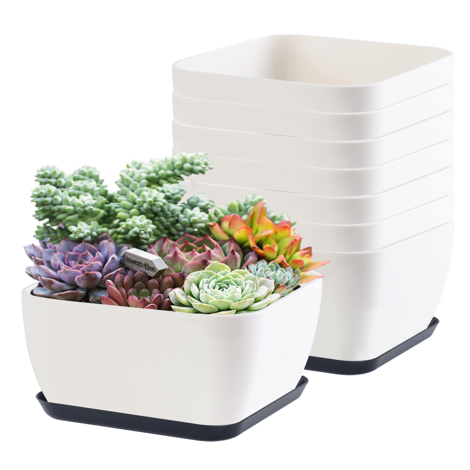 Succulent Pots 6 Inch Shallow Herb Planters With Drainage Hole - 8 Packs Cactus Planter For Home Office Garden Plants Pot Presen