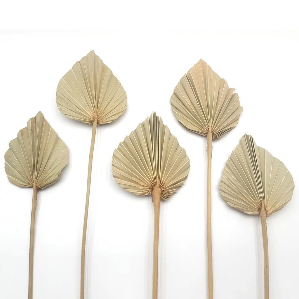 Boho Dried Palm Leaves, Small Dried Palms Plant Spears Fans, Palm Leaf With Stem For Home Office Wall Decor | Tropical Wedding F
