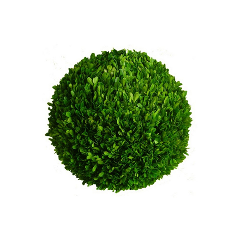 Mills Floral Company Boxwood Ball 8