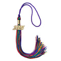 Endea Graduation Single Color Tassel with Gold Date Drop (Rainbow, 2025)
