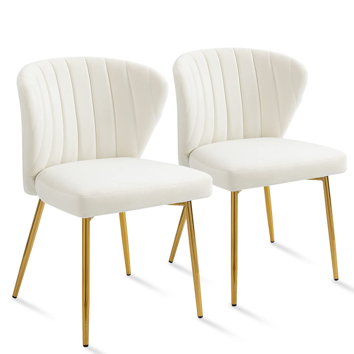 Anour Modern Dining Chairs, Velvet Accent Living Room Chairs, Set Of 2, Upholstered Side Chair With Golden Metal Legs For Dining
