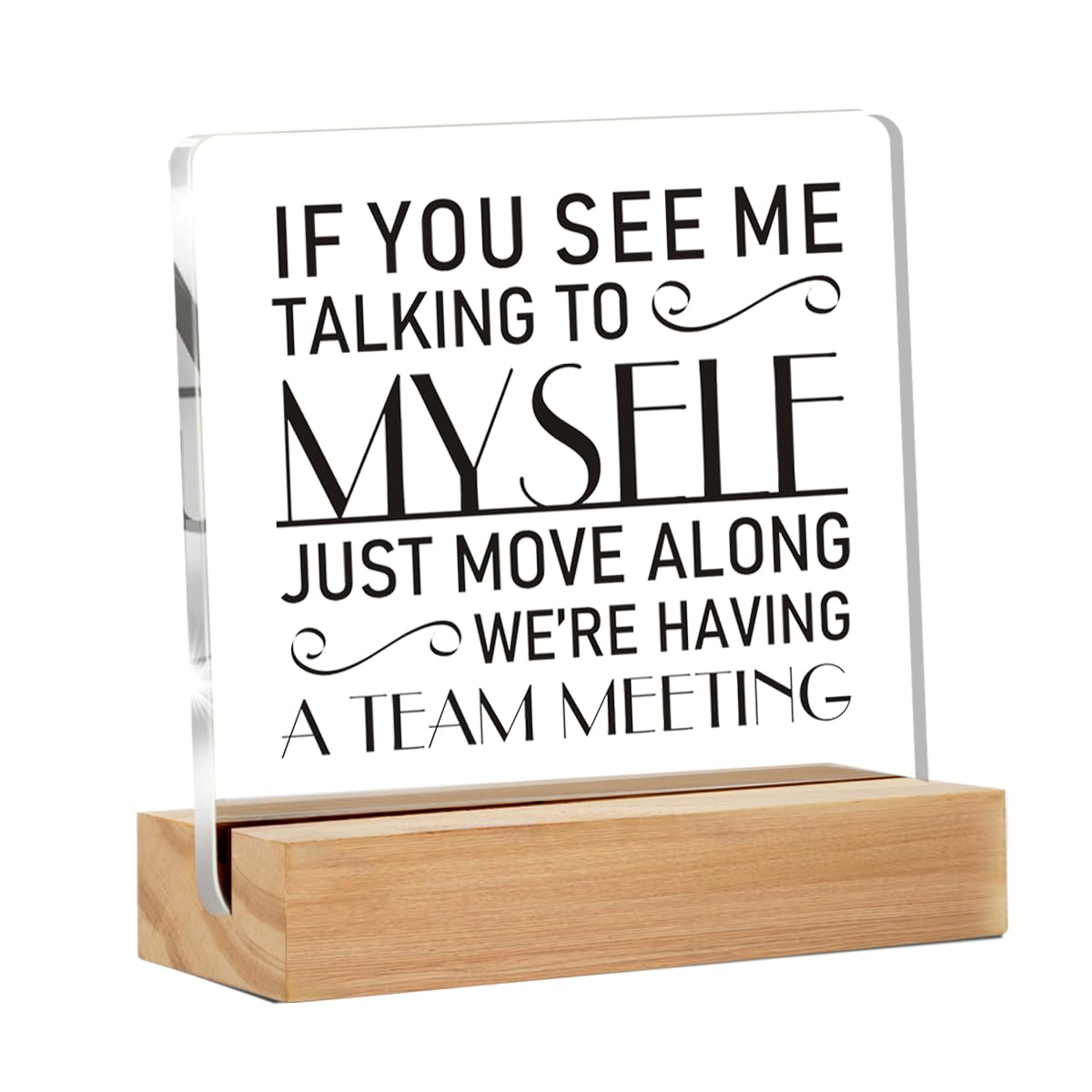 Funny Office Decor for Women, If You See Me Talking to Myself Were Having a Team Meeting Clear Desk Decorative Acrylic Sign Wit