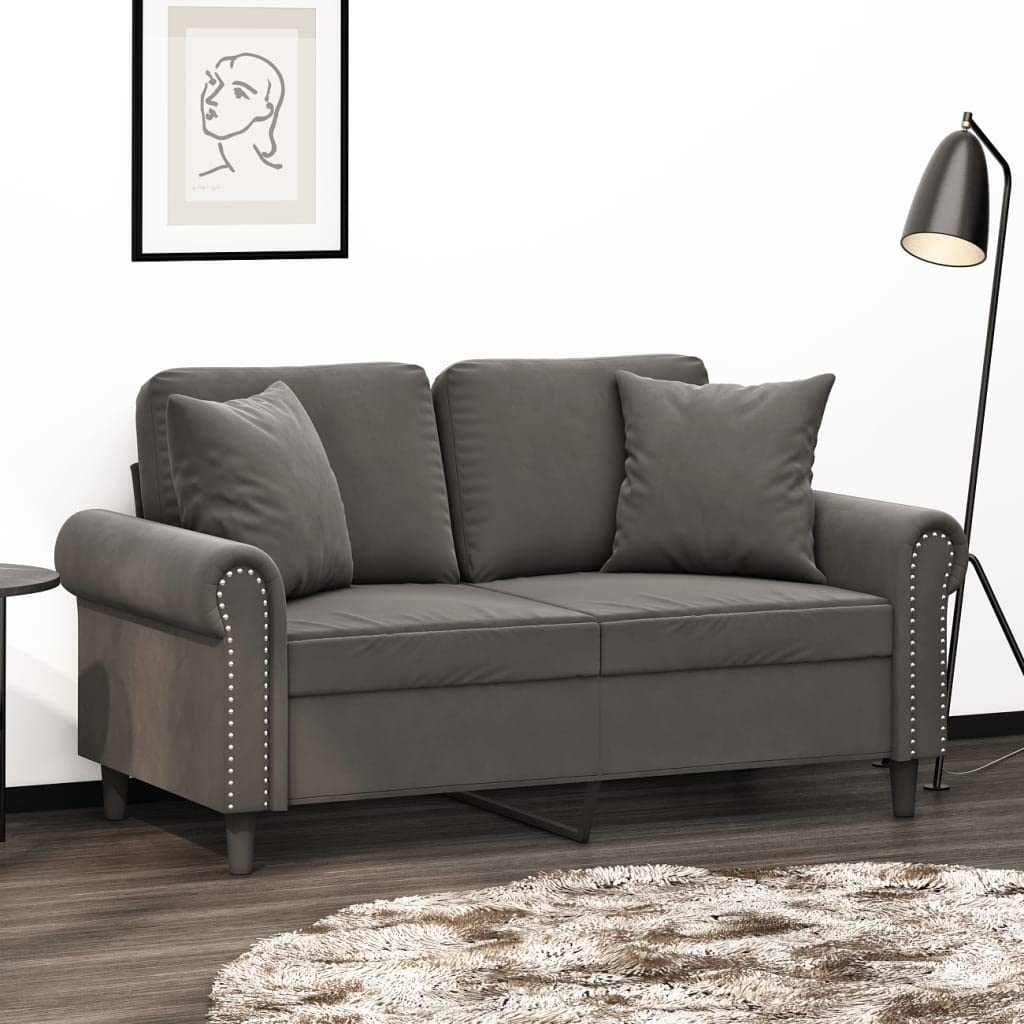 vidaXL Velvet 2-Seater Sofa with Pillows and Cushions in Dark Gray - Cozy, Modern Design for Living Room, Lounge, or Home Office