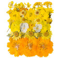 Youthbro Yellow Dried Pressed Flowers For Resin Molds,Real Natural Pressed Flowers For Diy Art Crafts,Candle Making, Nails Décor,Soap Making, Phone Case