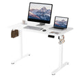 ERGOMAKER Electric Standing Desk, 31.5 x 23.6 Height Adjustable Sit Stand Desk with Splice Board for Home Office, Computer Desk 