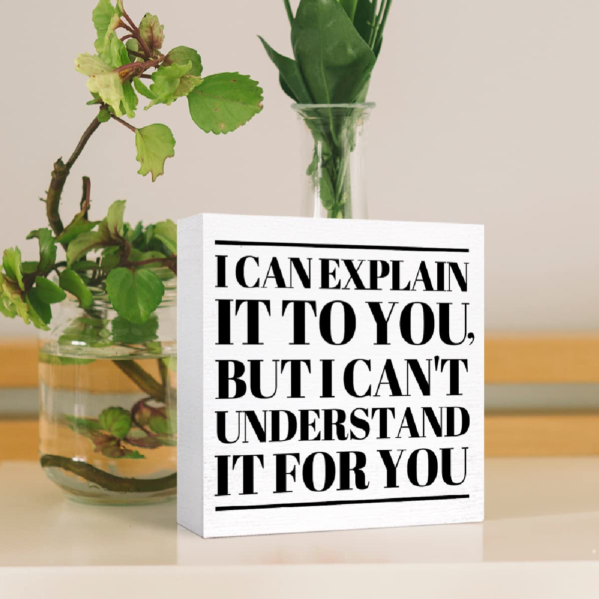 Funny Office Wood Box Sign I Can'T Explain It To You But I Can'T Understand It For You Wooden Block Sign Humorous Desk D  Cor Fo