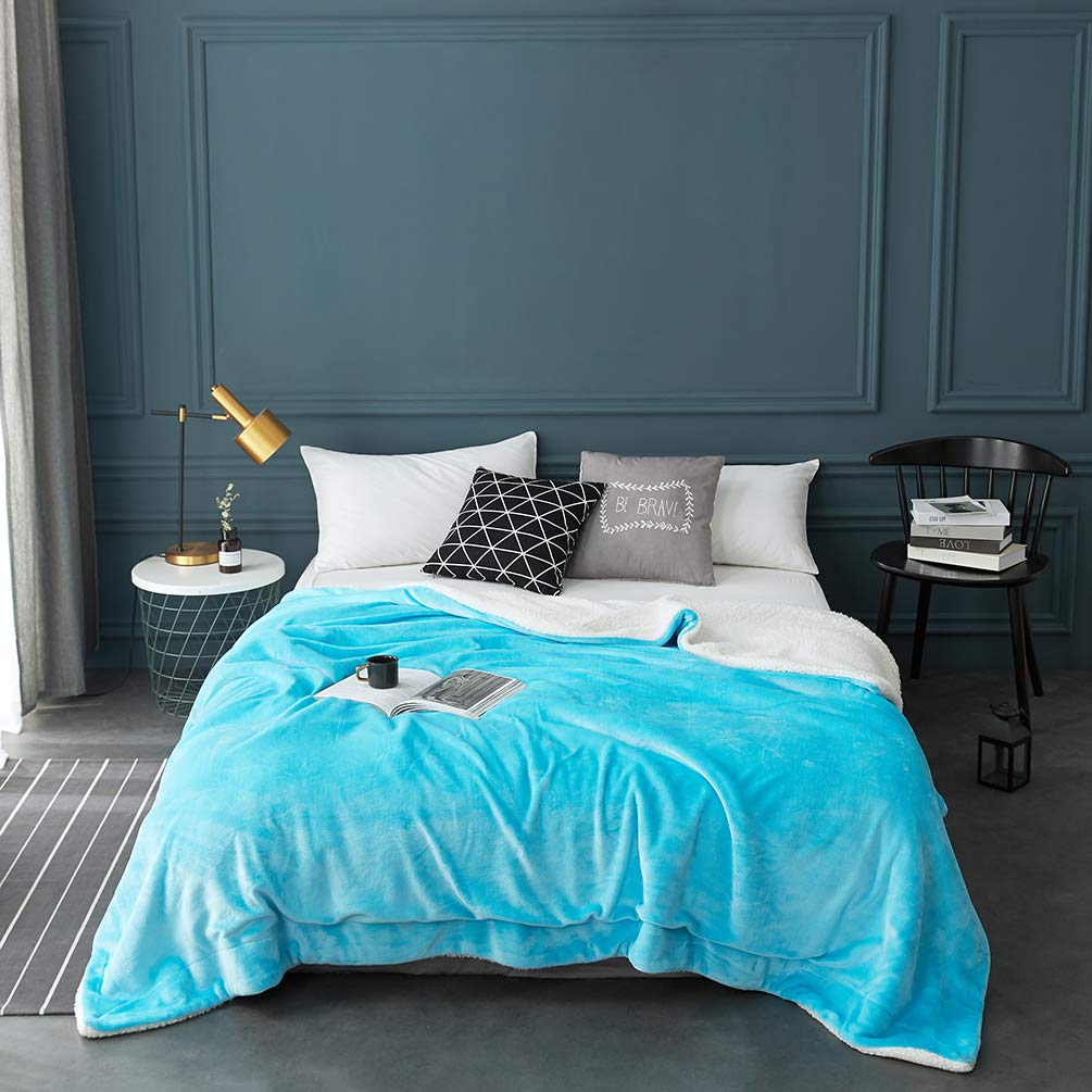 Lbro2M Sherpa Fleece Bed Blanket Fuzzy Plush Warm Super Soft Cozy Fluffy Microfiber Couch (Teal, Twin(65X90 Inches))