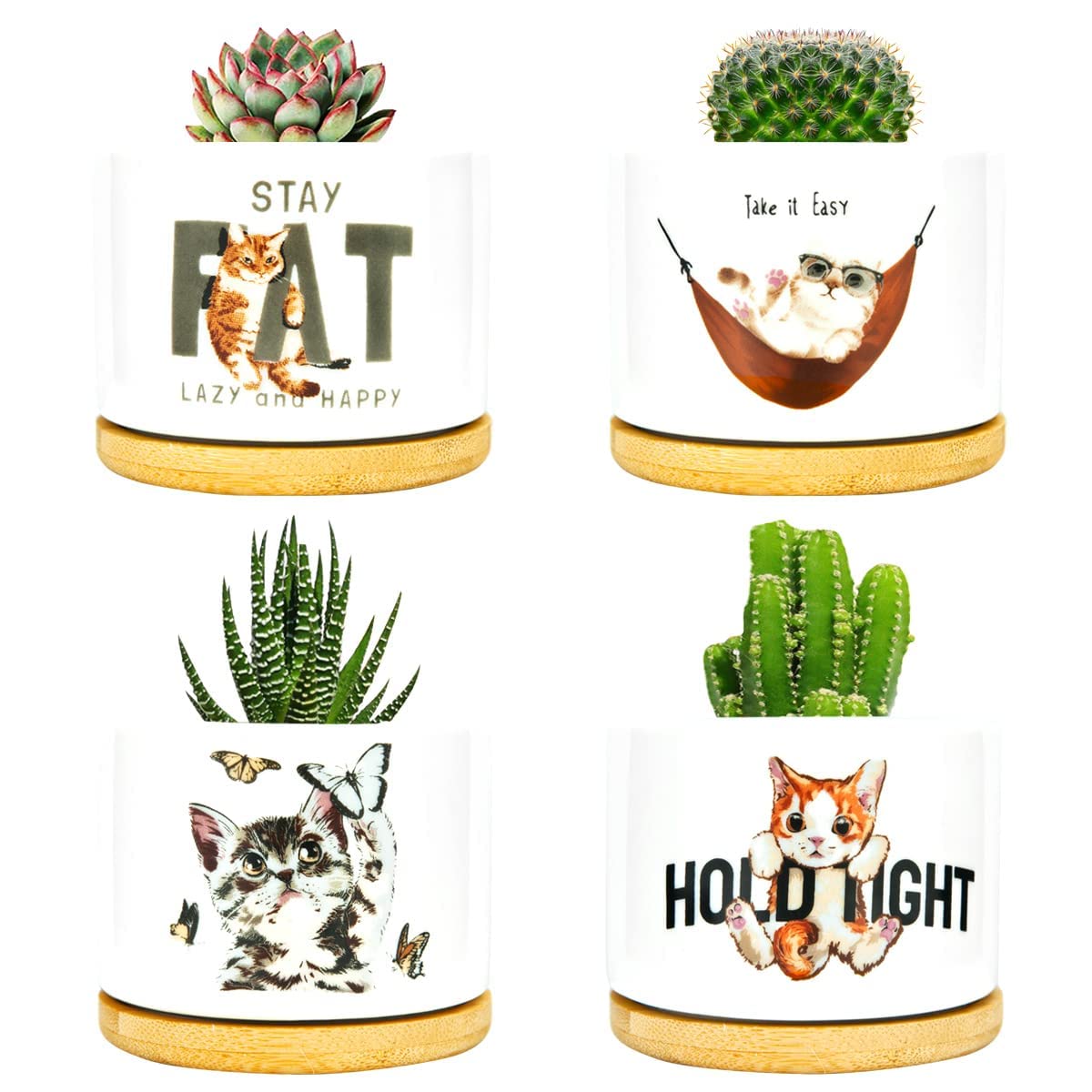 6 Pack Mandala Succulent Plant Pot With Bamboo Trays, Ceramic Multicolored Succulent Container Planter Pot For Small Plant