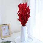 Cisdueo 120Pcs Dried Bunny Tails Flowers Red Lagurus Ovatus Tail Dried Flowers Pampas Grass Natural Dried Floral Arrangement For