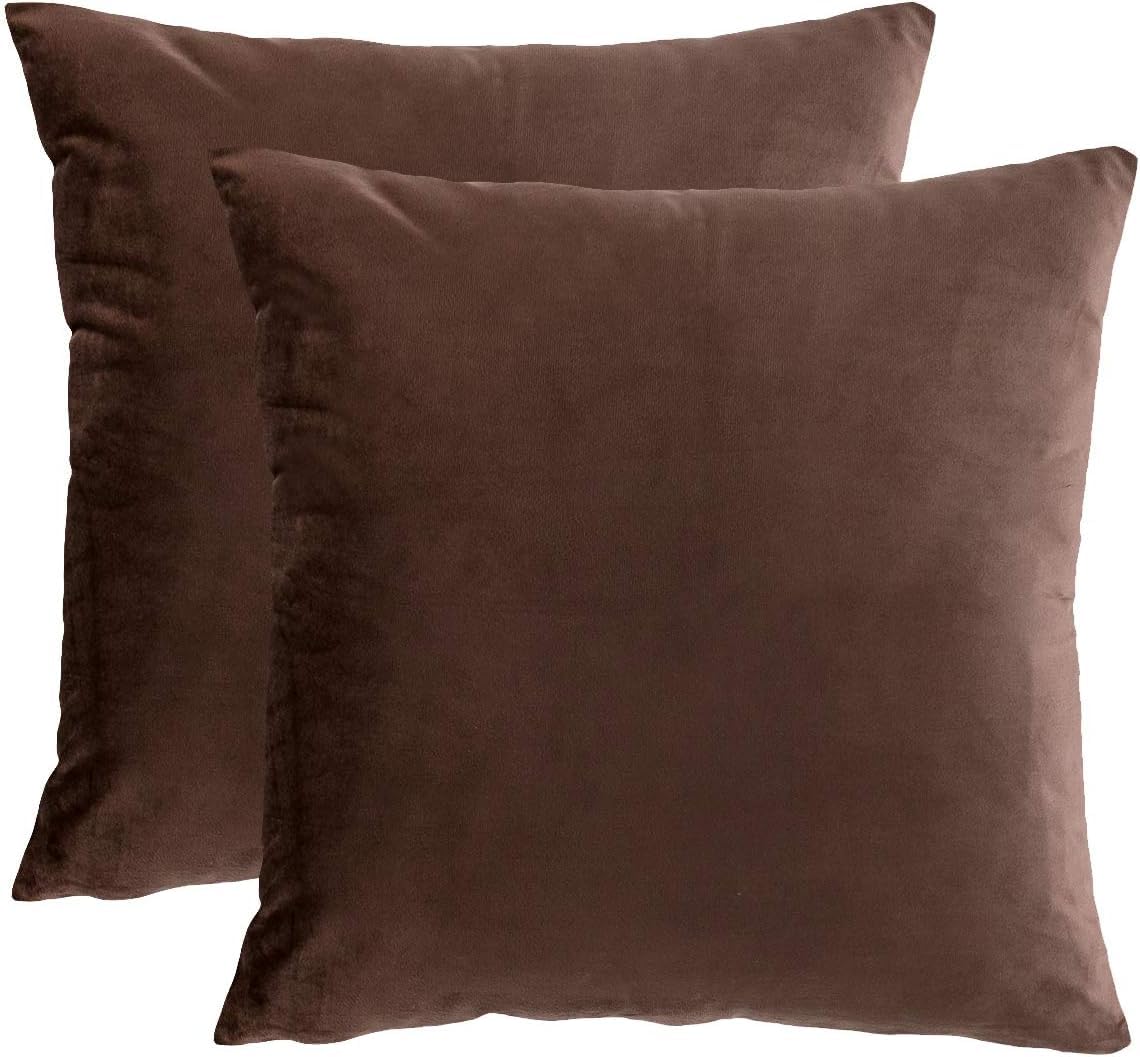 Rainroad Brown Throw Pillows Covers Set Of 2 Soft Velvet Decorative Pillow Covers 20X20 Inch For Couch Bed(Brown-Velvet, 20' X