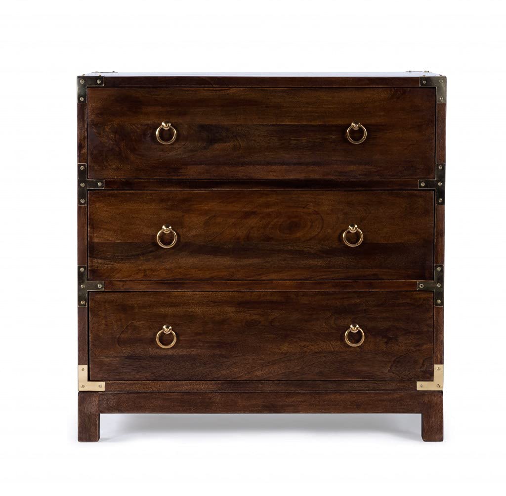 HomeRoots Mango Wood Solids, MDF, Brass Forster Brown Campaign Chest