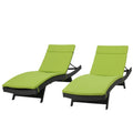 Christopher Knight Home Salem Chaise Lounge