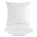 Oubonun 18 X 18 Outdoor Pillow Inserts (Pack Of 2) - Square Waterproof Throw Pillow - Decorative Throw Pillows Insert For Couch Sofa Bed Patio Furniture - White Pillow