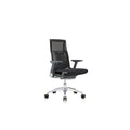 Eurotech Seating Powerfit-Charcoal Frame-Mesh Back/Fabric Seat Desk Chair, Black
