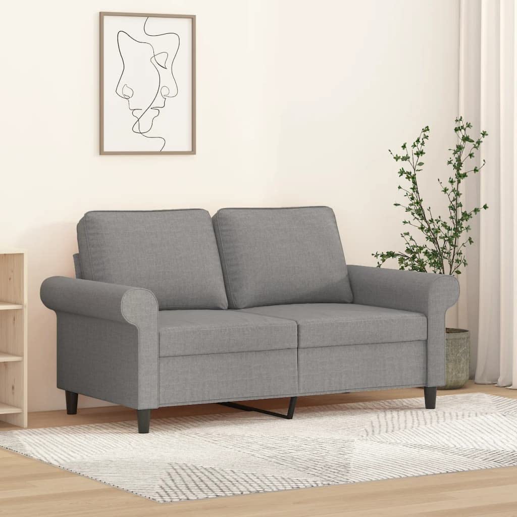vidaXL Light Gray 2-Seater Sofa - Modern Style with Durable Fabric, Sturdy Metal and Plywood Frame, Comfortable Seats, & Easy Assembly