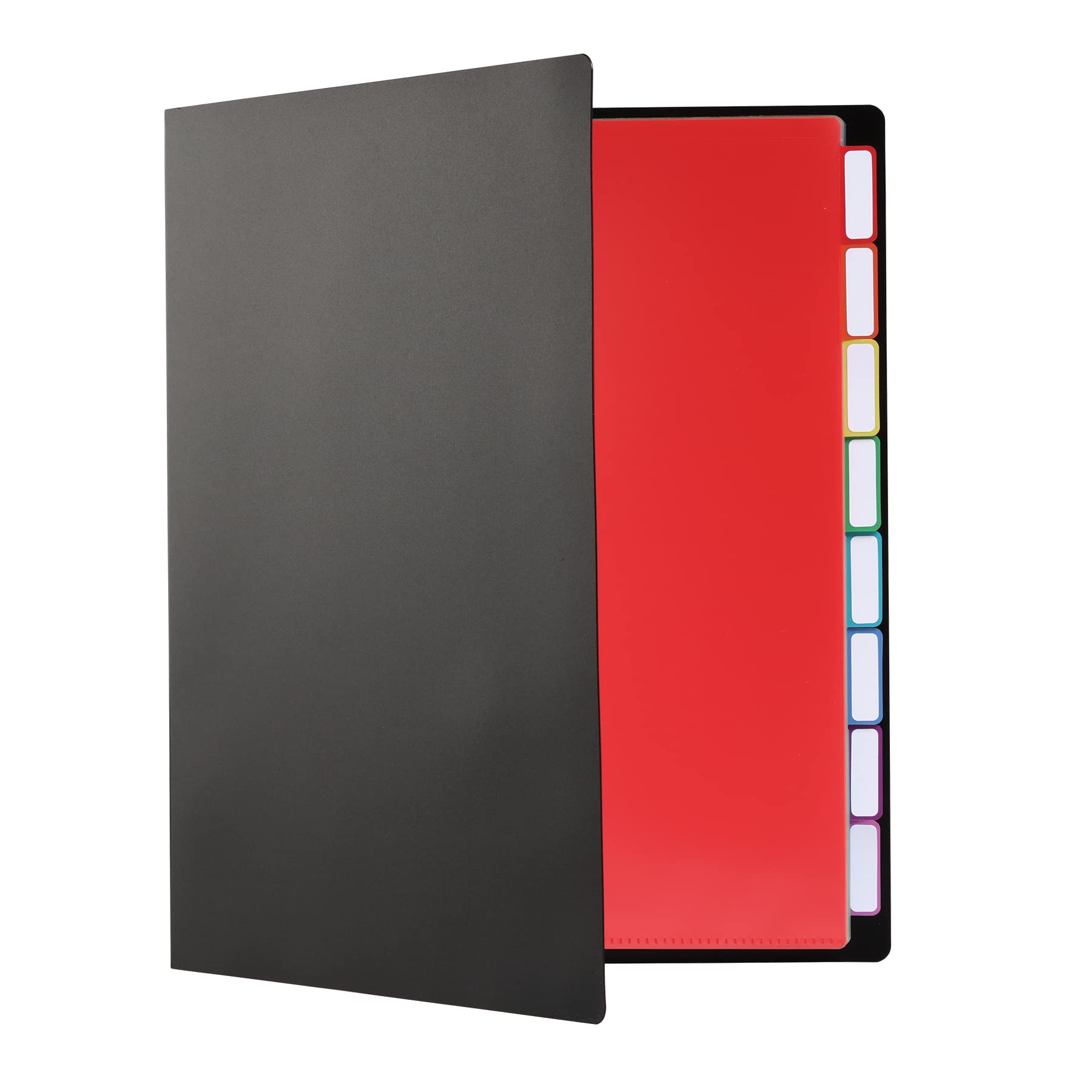 Pendaflex Project Organizer, File Organizer For School, Home And Office, Black With 16 Pockets And 8 Rainbow Tabs, Fits 160 Lett