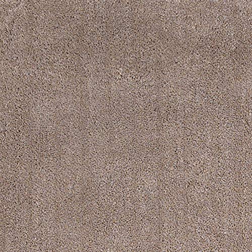 HomeRoots Decor 27-inch X 45-inch Polyester Beige Area Rug