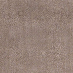 HomeRoots Decor 27-inch X 45-inch Polyester Beige Area Rug