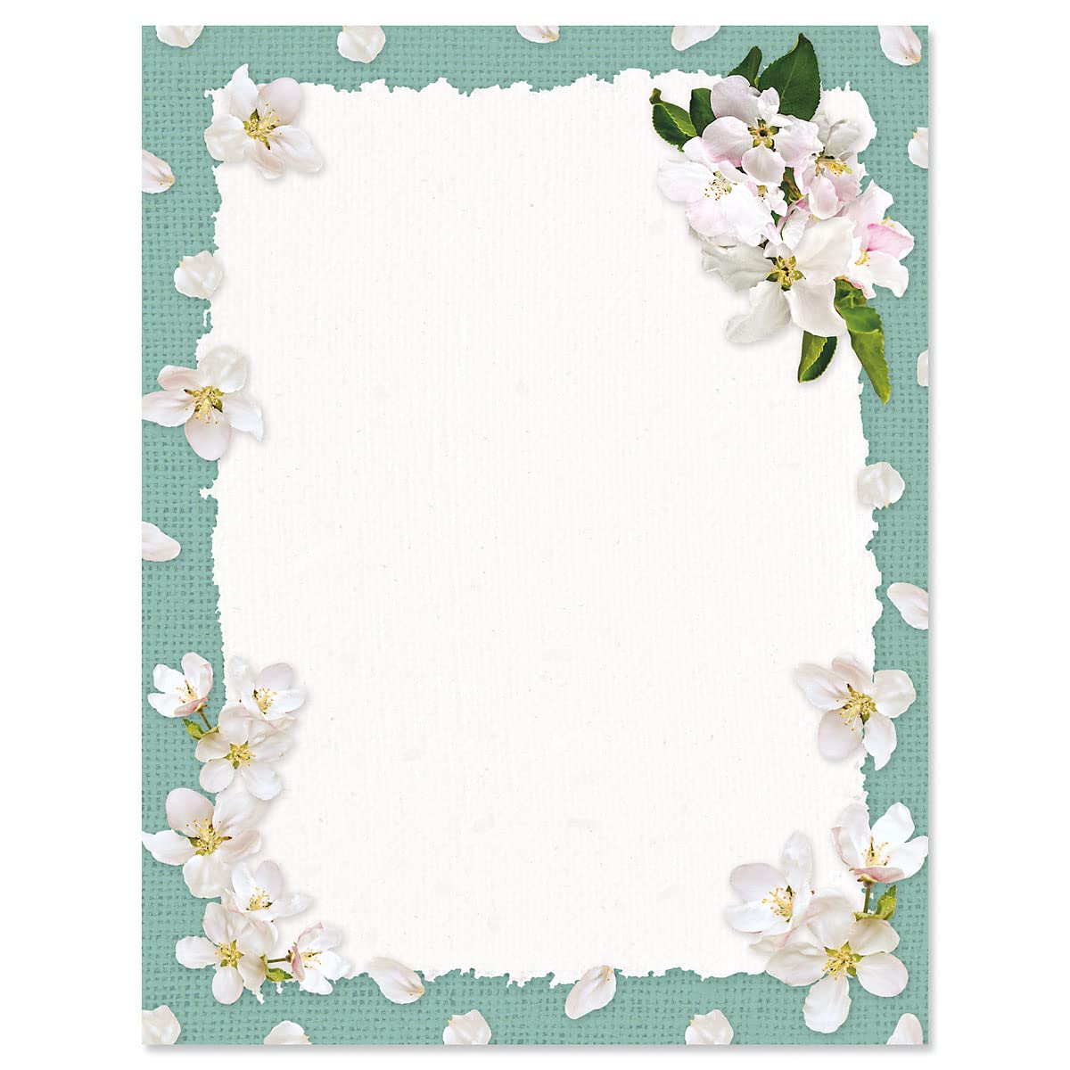 Current White Spring Bloom Floral Letter Paper - Spring Stationery Papers With Decorative Bloom Border, Printable Holiday, Weddi