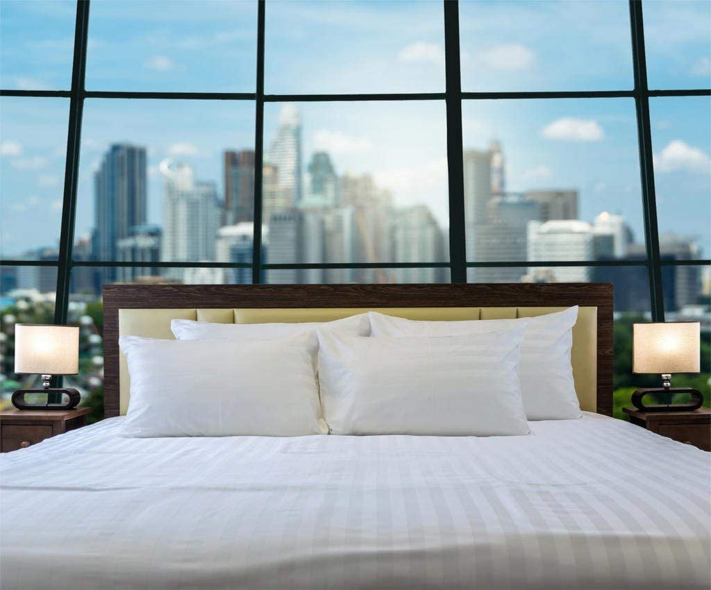 Trend Bedding Mart 4Pc Sheet Set White Stripe 100% Egyptian Cotton 600 Thread Count (King Sheet Set, White Stripe)