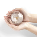 Cairiac Real Dandelion Paperweight, Dandelion In Resin Ball, Home Office Decor, Real Dandelion Specimen Ball, Resin Ball And Gif